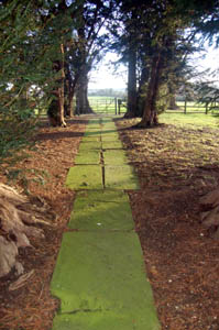 The path through the graveyard January 2008